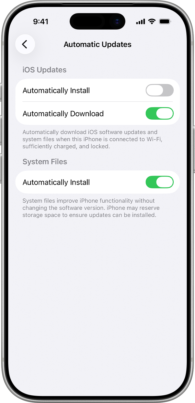 English Automatic Updates screen with separate installation, download and System Files switches