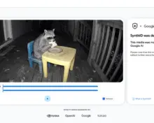 SynthID Detector interface showing a raccoon video and a detected Google AI watermark